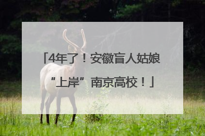 4年了！安徽盲人姑娘“上岸”南京高校！