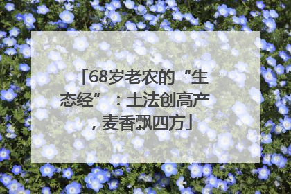 68岁老农的“生态经”：土法创高产，麦香飘四方