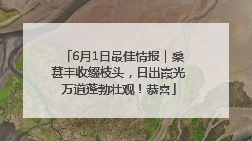 6月1日最佳情报｜桑葚丰收缀枝头，日出霞光万道蓬勃壮观！恭喜