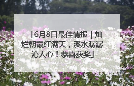 6月8日最佳情报｜灿烂朝霞红满天，溪水潺潺沁人心！恭喜获奖