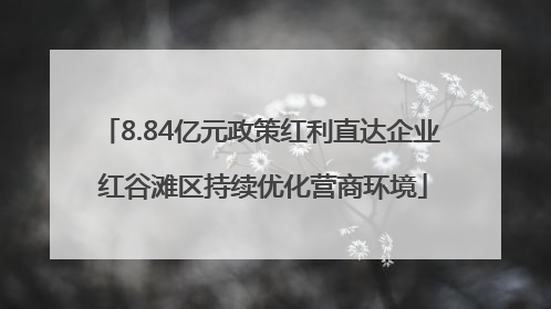 8.84亿元政策红利直达企业 红谷滩区持续优化营商环境