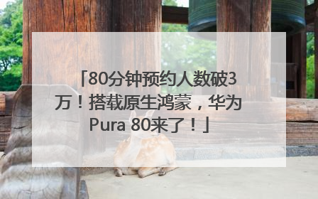 80分钟预约人数破3万！搭载原生鸿蒙，华为Pura 80来了！