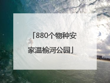 880个物种安家温榆河公园