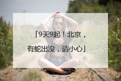 9天9起！北京，有蛇出没，请小心