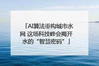 AI算法重构城市水网 这场科技峰会揭开水的“智慧密码”