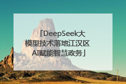 DeepSeek大模型技术落地江汉区 AI赋能智慧政务