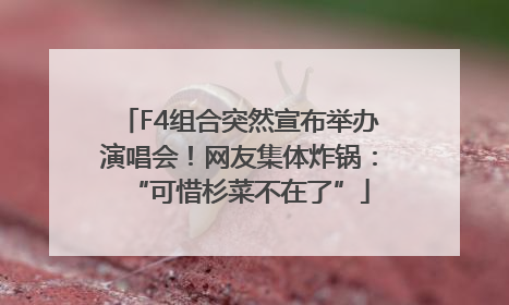 F4组合突然宣布举办演唱会！网友集体炸锅：“可惜杉菜不在了”