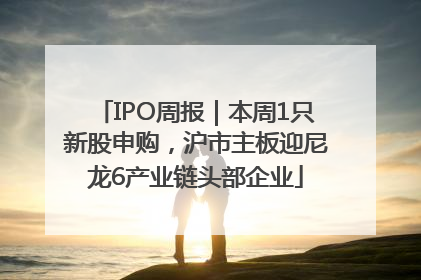 IPO周报｜本周1只新股申购，沪市主板迎尼龙6产业链头部企业