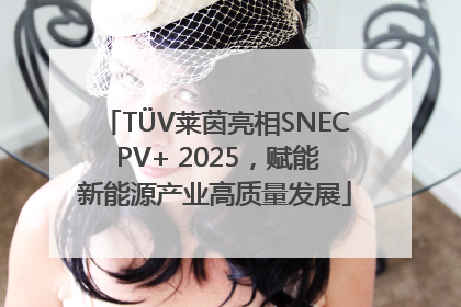 TÜV莱茵亮相SNEC PV+ 2025，赋能新能源产业高质量发展